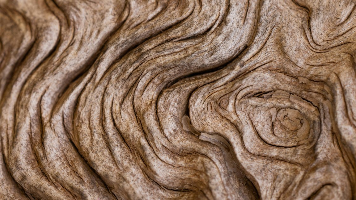 Lebenslinien Holz 2