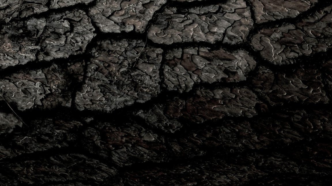 Danielle suijkerbuijk dm9u7 Hmk Ti Y unsplash